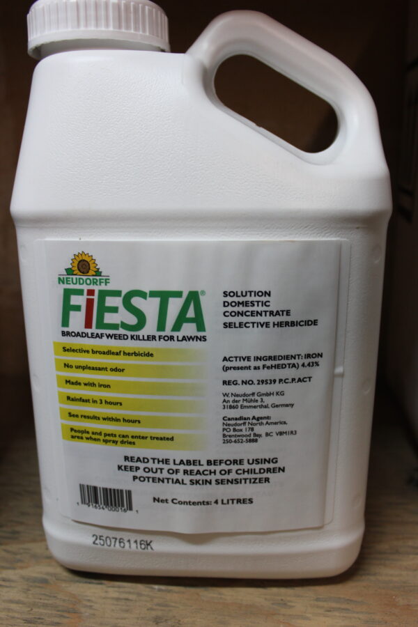 Fiesta 1l