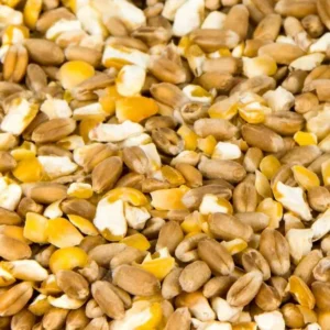 Grains mélangés 25kg