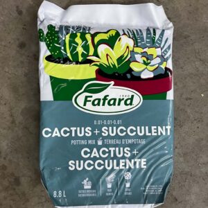 Terre Cactus et succulente Fafard
